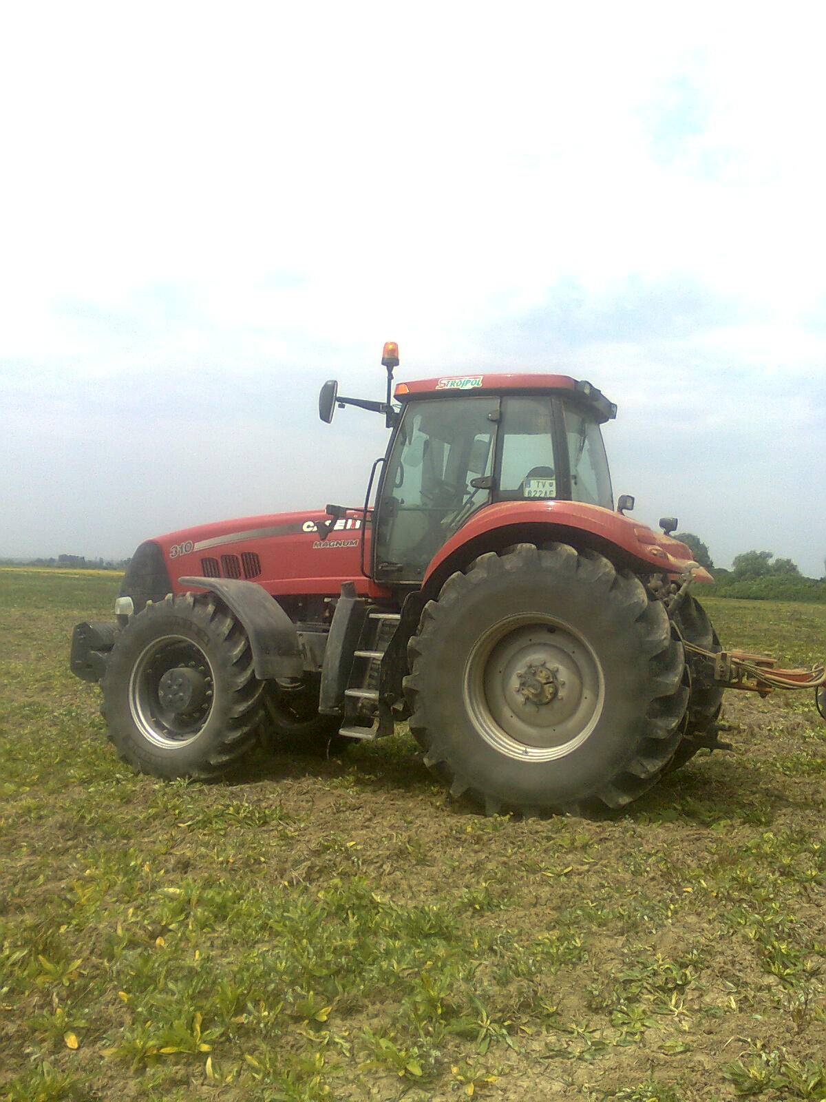 Case IH.jpg